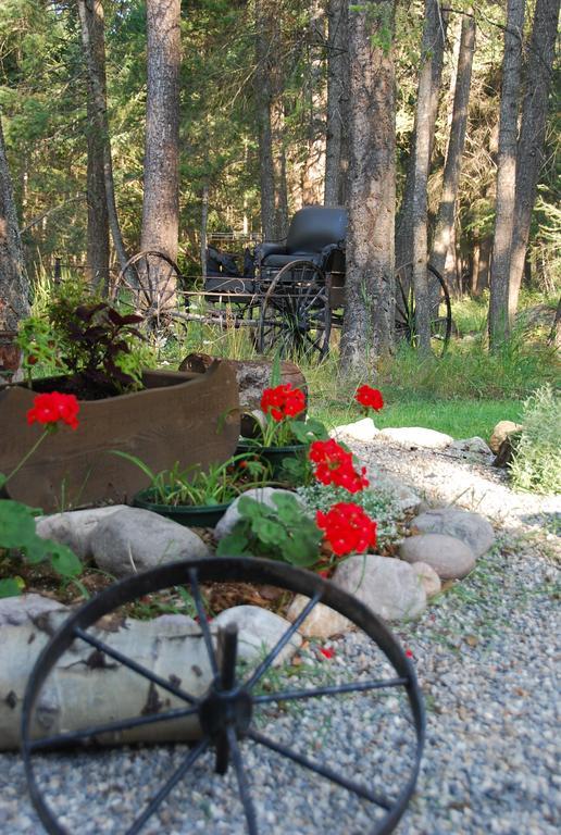 Kicking Horse Canyon Guest House Голдън Екстериор снимка