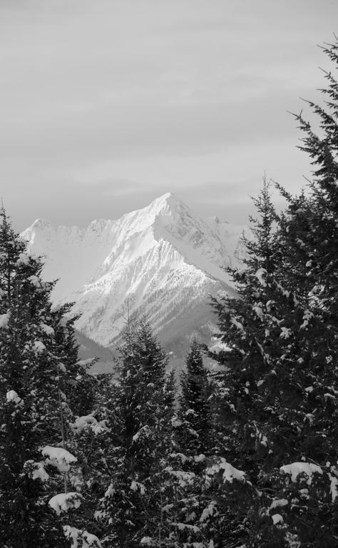 Kicking Horse Canyon Guest House Голдън Екстериор снимка