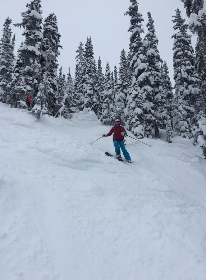 Kicking Horse Canyon Guest House Голдън Екстериор снимка