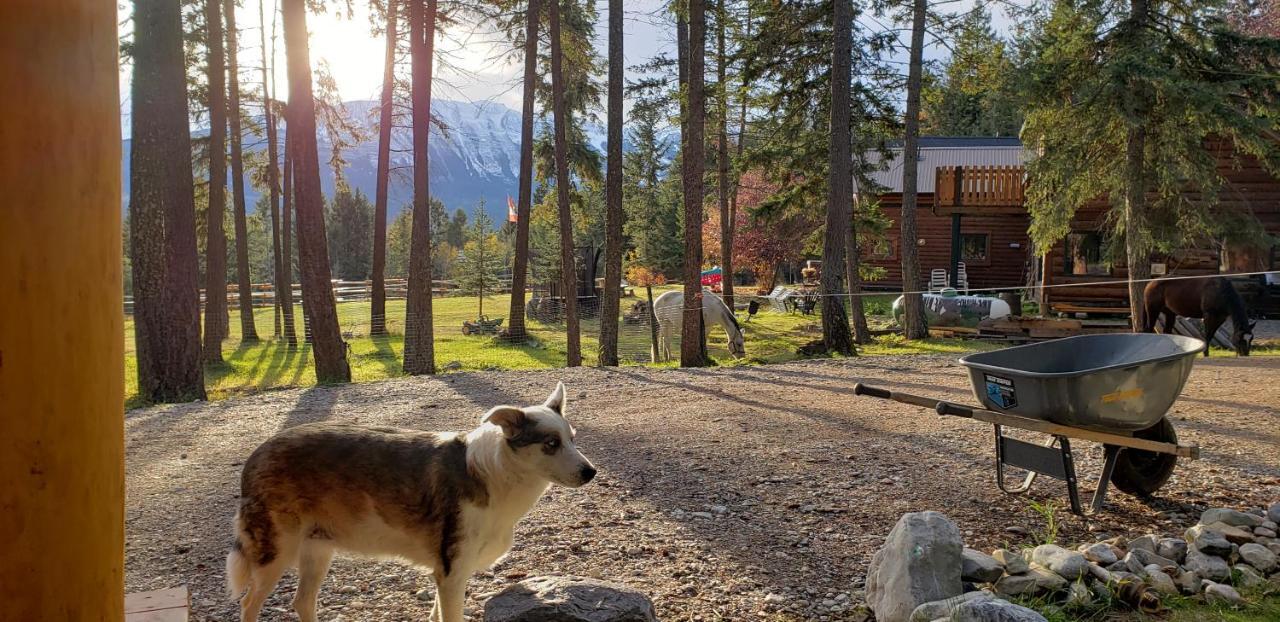 Kicking Horse Canyon Guest House Голдън Екстериор снимка