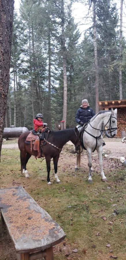 Kicking Horse Canyon Guest House Голдън Екстериор снимка
