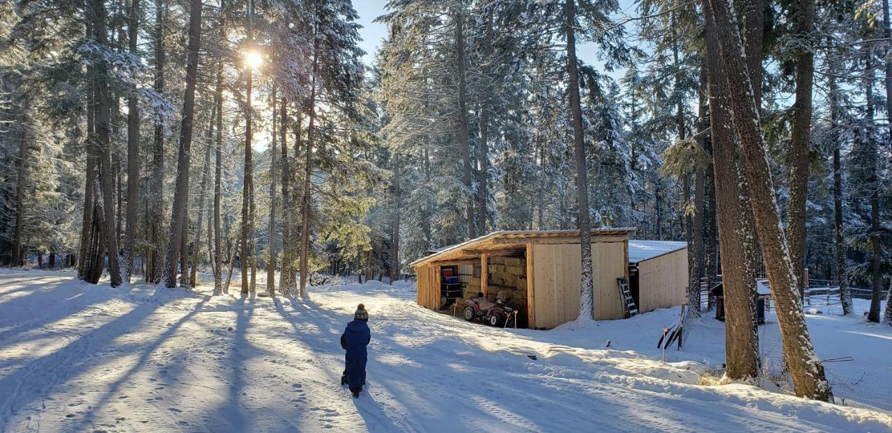 Kicking Horse Canyon Guest House Голдън Екстериор снимка